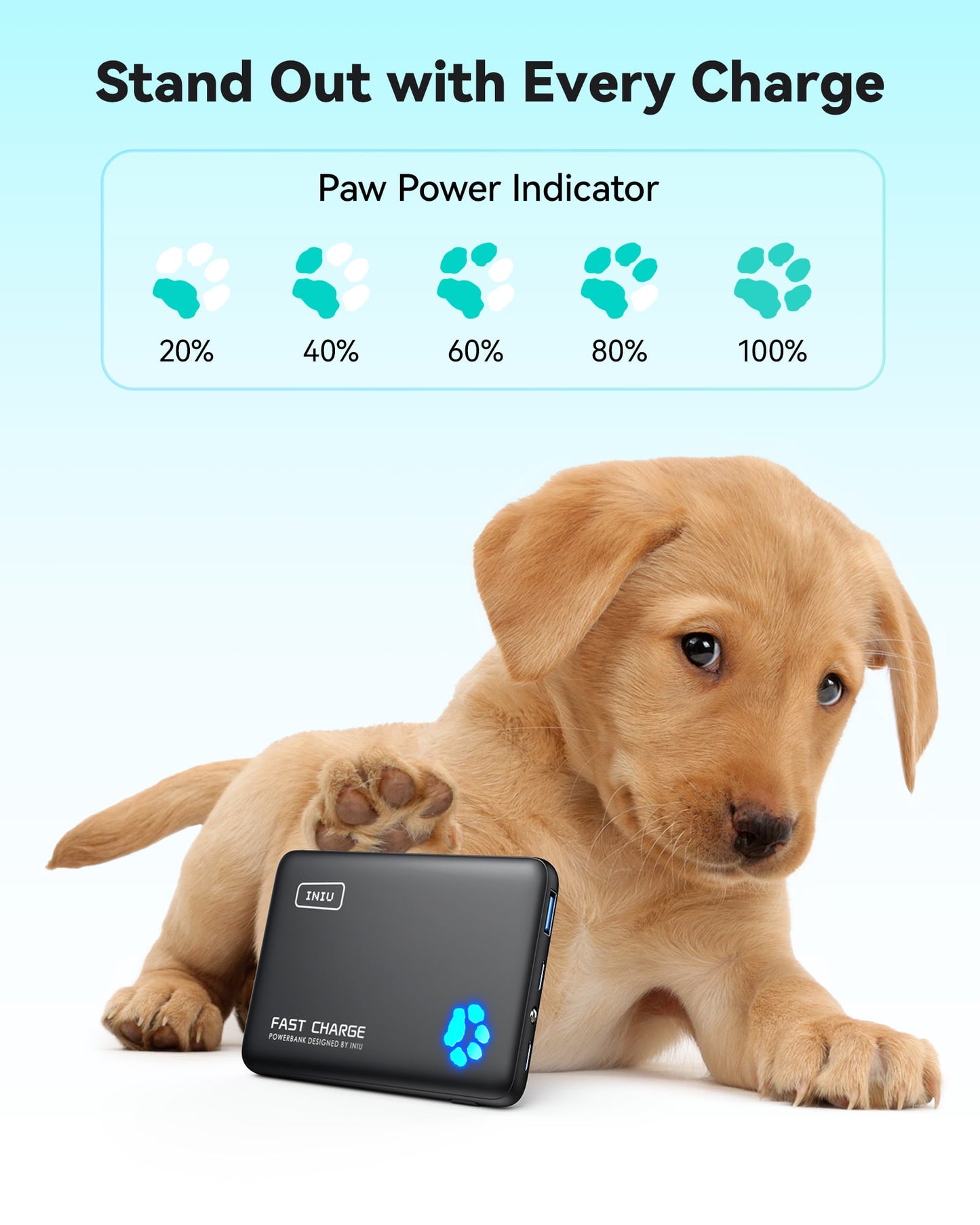 INIU PowerPaw 10K Power Bank, Slimmest 10,000mAh PD 22.5W Fast Chargin