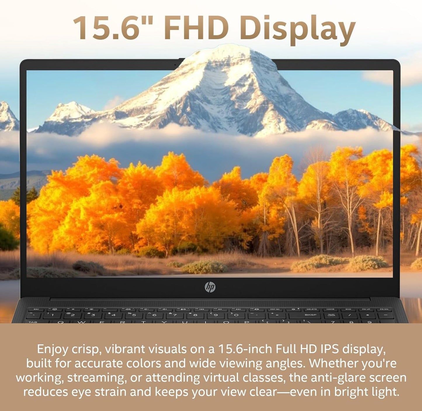 HP 2026 New 255 G10 Laptop for Business, 15.6" FHD IPS Display, AMD Ry